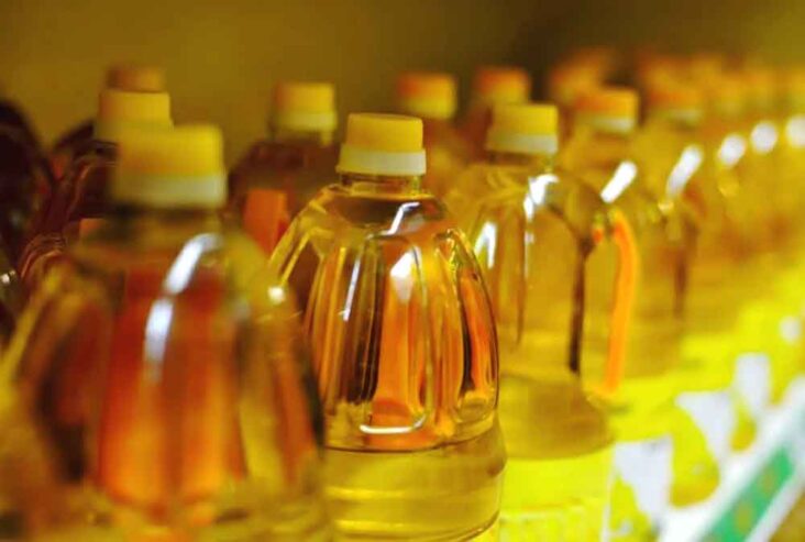 Kasus Mafia Migor, Luhut dan Kaesang Berpeluang Diperiksa Kejagung