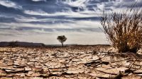 Waspada! El Nino Bakal Picu Suhu Global yang Lebih Tinggi