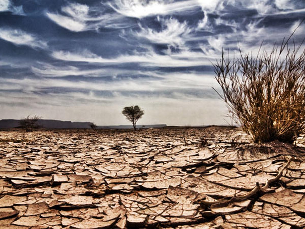 Waspada! El Nino Bakal Picu Suhu Global yang Lebih Tinggi