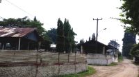 Diduga Berasal dari Peternakan Ayam Tanpa Ijin, Warga Curug Keluhkan Bau dan Lalat