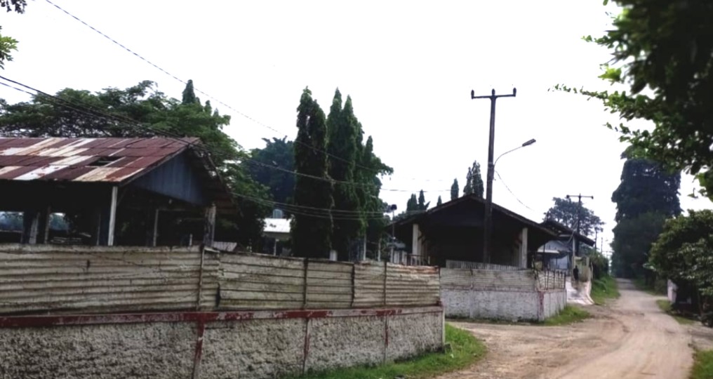Diduga Berasal dari Peternakan Ayam Tanpa Ijin, Warga Curug Keluhkan Bau dan Lalat