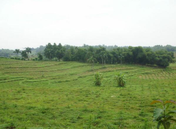 Di Kabupaten Bekasi 5 Daerah Ini Masih Sepi Penduduk