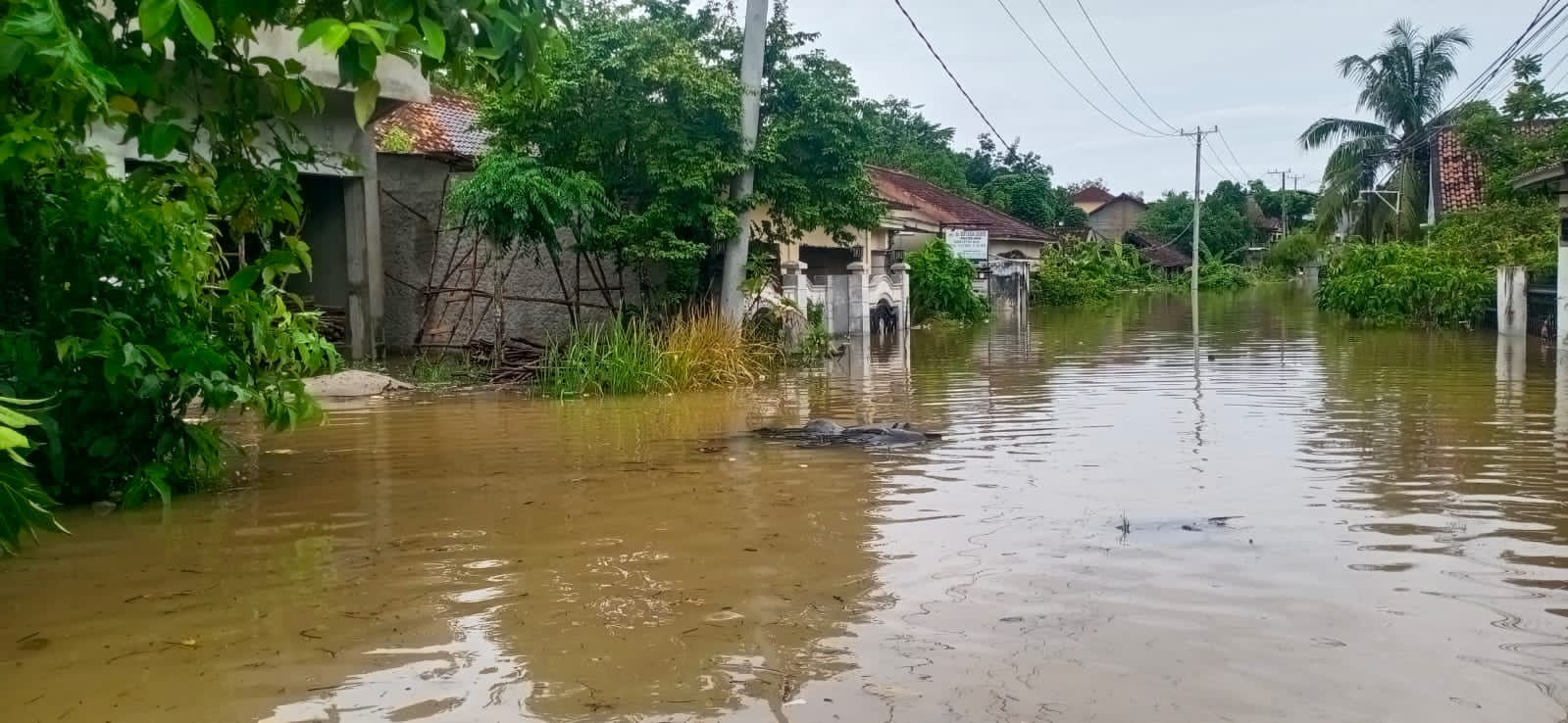 Banjir di Kawasan Jalan Pancur Makin Meluas, Warga Mencekam dan Khawatir