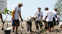 Komunitas Nelayan Pesisir Edukasi Pelaut Karawang Tanami Pesisir dengan Mangrove Komunitas Nelayan Pesisir Edukasi Pelaut Karawang Tanami Pesisir dengan Mangrove
