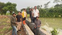 Pelaksanaan Program P3 TGAI di Desa Tambiluk Kecamatan Petir Dinilai Cukup Baik