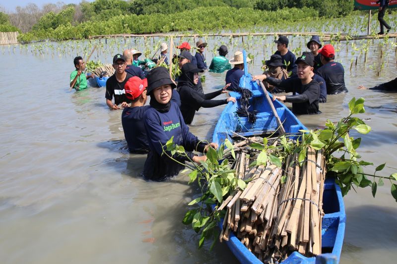 Program CSR Telkomsel Jaga Bumi Tanam 15 Ribu Pohon Mangrove di Seluruh Indonesa Program CSR Telkomsel Jaga Bumi Tanam 15 Ribu Pohon Mangrove di Seluruh Indonesa