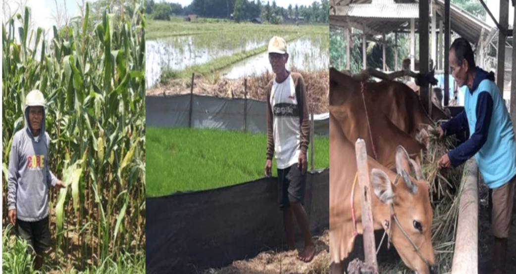 Bantuan dari Bukit Asam (PTBA) Tingkatkan Penghasilan Petani di Lampung