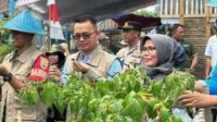 Bupati Lahat Melalui Wabup Haryanto Beri  Bantuan Bibit  Pertanian di Kabupaten  Lahat 