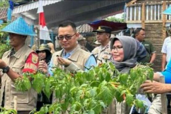 Bupati Lahat Melalui Wabup Haryanto Beri  Bantuan Bibit  Pertanian di Kabupaten  Lahat 