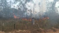 Himbauan Polsek Kikim Timur untuk Tidak Membakar Hutan Walau untuk Membuka Kebun