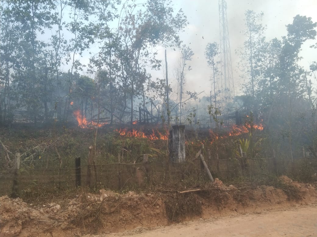 Himbauan Polsek Kikim Timur untuk Tidak Membakar Hutan Walau untuk Membuka Kebun