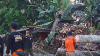Satu Orang Tewas Tertimpa Pohon Tumbang di Jalan Wisata Pantai Anyer