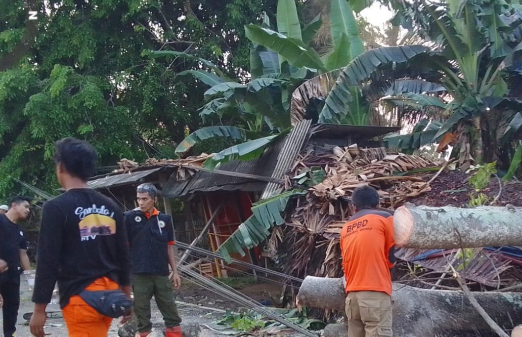 Satu Orang Tewas Tertimpa Pohon Tumbang di Jalan Wisata Pantai Anyer