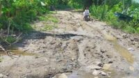 PKS Minta Pemerintah Lebih Fokus Infrastruktur di Desa dan Daerah Terpencil