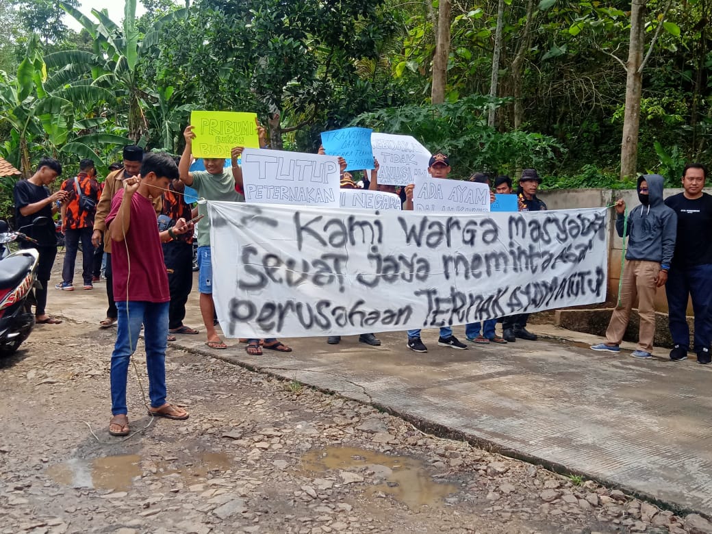 Tak Dapat Respon Positif, Pentolan Forum Ormas Kembali akan Unjuk Rasa di Peternakan Ayam Seuat Jaya