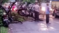 Pengendara Sepeda Motor Tertimpa Pohon Tumbang di Jalur Wisata Pantai Anyer