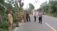 Penertiban Pohon Tua dan Rapuh di Kawasan Wisata Pantai Anyar oleh Muspika Setempat