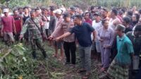 Temuan Jasad Perempuan dalam Semak-Semak Tanpa Busana Temuan Jasad Perempuan dalam Semak-Semak Tanpa Busana
