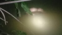 Sesosok Nenek Lansia Ditemukan Meninggal di Sungai Sragi Pekalongan, Polisi Lakukan Evakuasi Sesosok Nenek Lansia Ditemukan Meninggal di Sungai Sragi Pekalongan, Polisi Lakukan Evakuasi