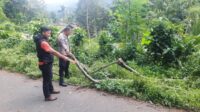 Warga Kandangserang Meninggal Dunia, Tertimpa Batang Pohon Pete yang Tumbang Warga Kandangserang Meninggal Dunia, Tertimpa Batang Pohon Pete yang Tumbang