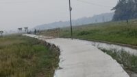 Proyek Jalan Usaha Tani di Desa Binong Pamarayan Diduga Tak Sesuai Spesifikasi Proyek Jalan Usaha Tani di Desa Binong Pamarayan Diduga Tak Sesuai Spesifikasi