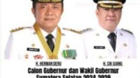 Tanggapi Mundurnya Hari Amalindo, Ketua Relawan HD-CU: Makin Mudah Menangkan HD -CU