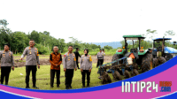 Gubernur DIY dan Kapolri Akan Tanam Jagung Seluas 5 Hektare di Bantul
