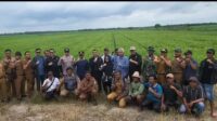 Dampingi Crew 8 Lakukan Peninjauan, Elfianah Berharap Dapat Bawa Perubahan Baik Dampingi Crew 8 Lakukan Peninjauan, Elfianah Berharap Dapat Bawa Perubahan Baik