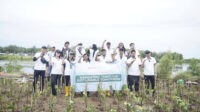 Aksi Hijau Waruna Group Bersama LindungiHutan Penanaman 2000 Pohon Mangrove Aksi Hijau Waruna Group Bersama LindungiHutan Penanaman 2000 Pohon Mangrove