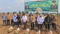 Dukung Program Ketahanan Pangan, Kapolres Serang dan Kelompok Tani Tanam Jagung di Lahan 2 Hektar di Kecamatan Jawilan