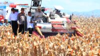 Gugus Tugas Ketahanan Pangan Polri Tegaskan Komitmen Capai Misi Swasembada Jagung Gugus Tugas Ketahanan Pangan Polri Tegaskan Komitmen Capai Misi Swasembada Jagung