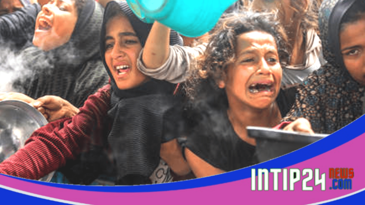 Bantuan sebagai Jebakan, Kekejaman yang Mengerikan dari Perang Gaza Israel
