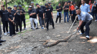 Pelatihan Penanganan Ular, Tawon, dan Biawak: Membangun Relawan Siaga Penyelamatan