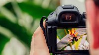 Dukung Promosi Pariwisata, Pemkot Tangerang Buka Pendaftaran Pelatihan Fotografi Gratis Dukung Promosi Pariwisata, Pemkot Tangerang Buka Pendaftaran Pelatihan Fotografi Gratis