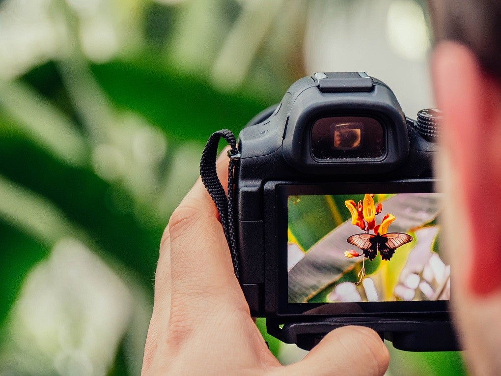 Dukung Promosi Pariwisata, Pemkot Tangerang Buka Pendaftaran Pelatihan Fotografi Gratis Dukung Promosi Pariwisata, Pemkot Tangerang Buka Pendaftaran Pelatihan Fotografi Gratis