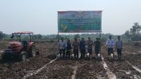 Polres Serang Tanam Jagung Serentak di 30 Hektar Lahan Dukung Ketahanan Pangan