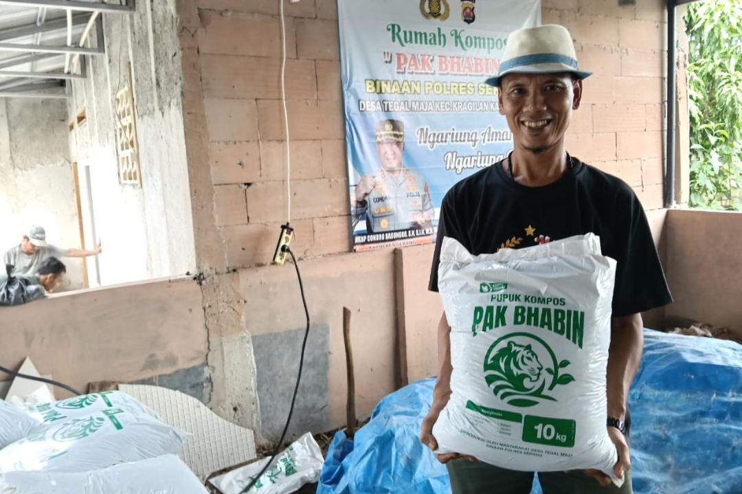 Menelusuri Inovasi Pupuk Kompos “Pak Bhabin” Binaan Kapolres Serang di Desa Tegal Maja Menelusuri Inovasi Pupuk Kompos “Pak Bhabin” Binaan Kapolres Serang di Desa Tegal Maja