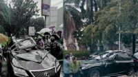 Nahas: Mobil Lexus Tertimpa Pohon di Pondok Indah, Pengendara Tewas di Tempat