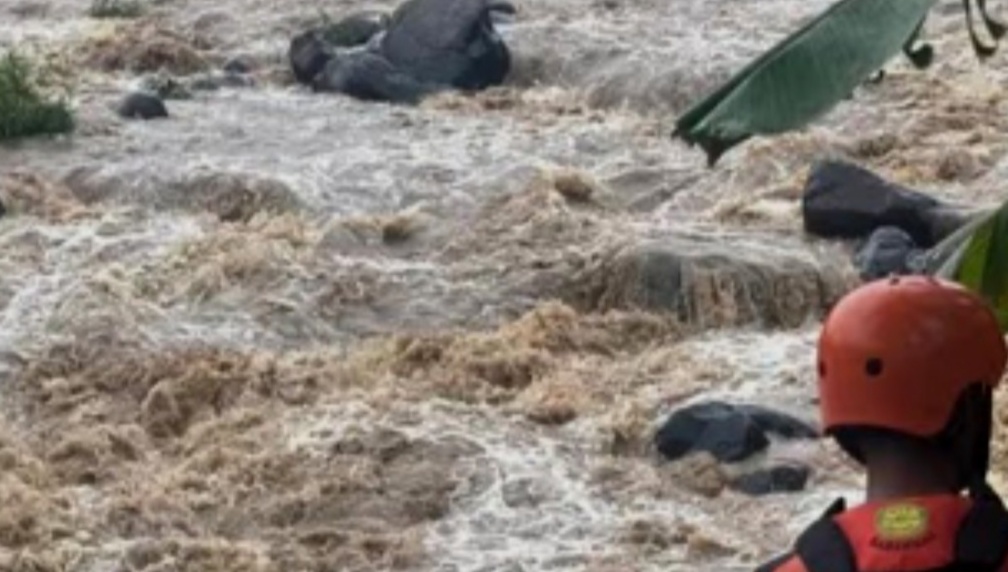 KKN Berujung Maut: 6 Mahasiswa UIN Semarang Hanyut di Sungai Jolinggo Kendal KKN Berujung Maut: 6 Mahasiswa UIN Semarang Hanyut di Sungai Jolinggo Kendal