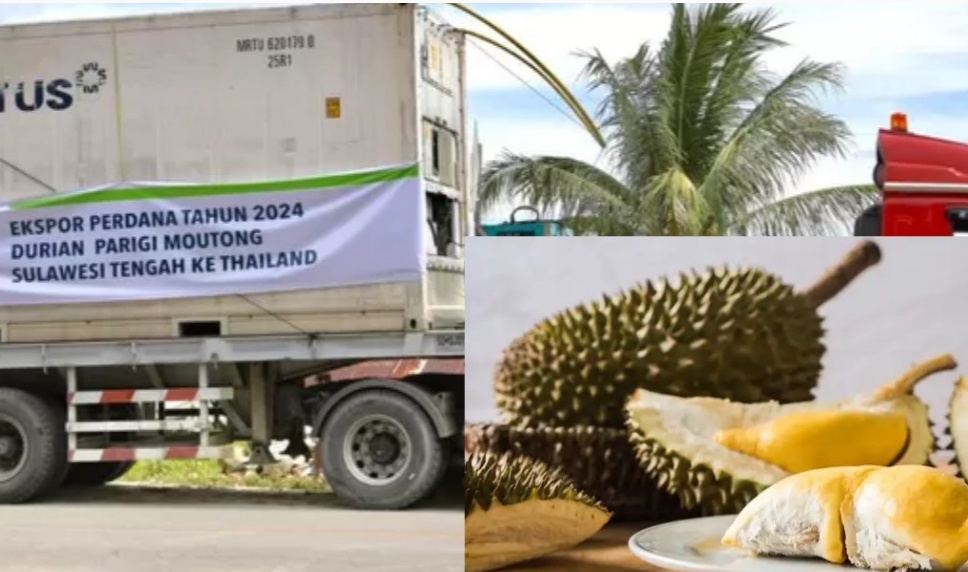 Apdurin: Durian Indonesia Jadi Komoditas Unggulan Mendunia