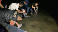 Polres Tangkot Lepasliarkan Ribuan Benih Lobster Barang Bukti di Labuan Caringin Pandeglang