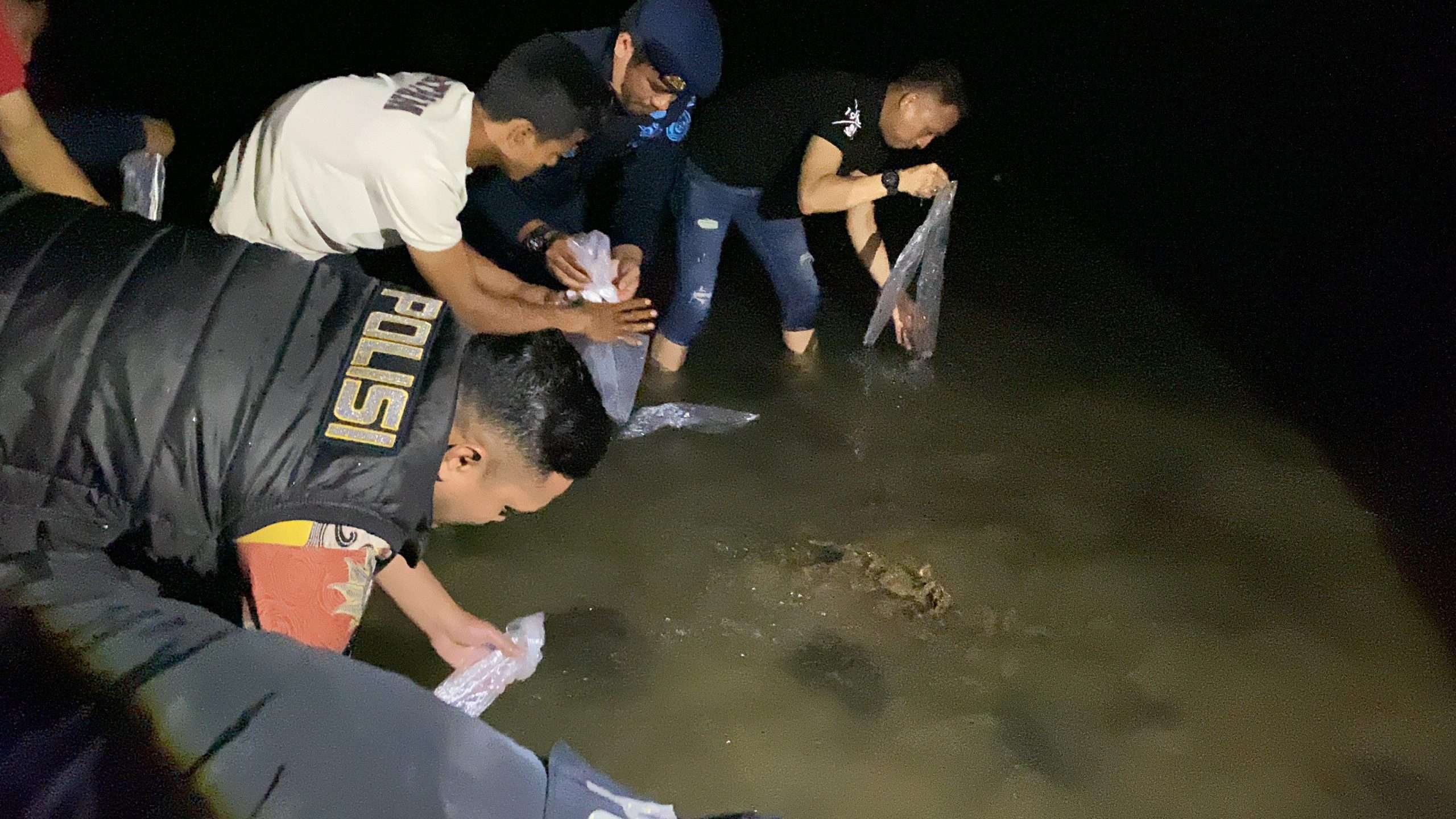 Polres Tangkot Lepasliarkan Ribuan Benih Lobster Barang Bukti di Labuan Caringin Pandeglang