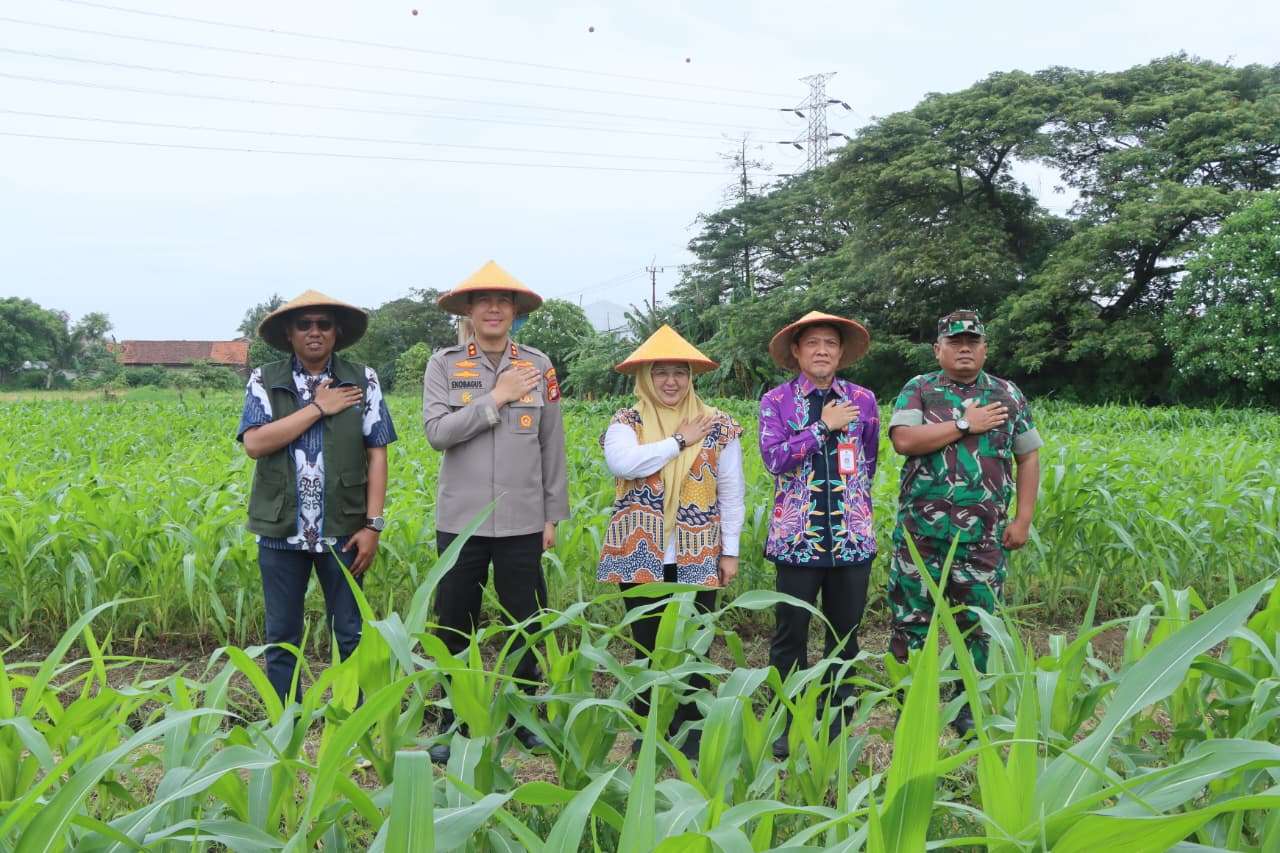 Hadiri Panen Raya Jagung Serentak Polri, Polres Tangerang Kota Perkuat Ketahanan Pangan Nasional