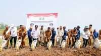 Gubernur Banten Canangkan Gerakan Tanam Jagung di Lebak, Targetkan Swasembada Pangan
