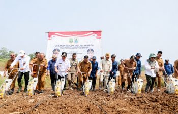 Gubernur Banten Canangkan Gerakan Tanam Jagung di Lebak, Targetkan Swasembada Pangan