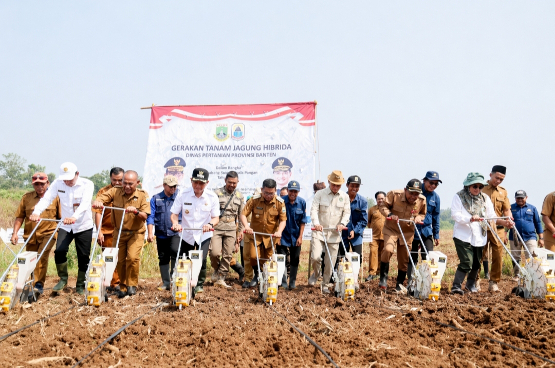 Gubernur Banten Canangkan Gerakan Tanam Jagung di Lebak, Targetkan Swasembada Pangan