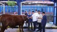 Himpun 93 Hewan Kurban, Menaker: Iduladha Momentum Ttingkatkan Kepedulian dan Kualitas Kinerja