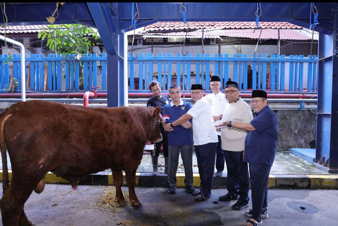 Himpun 93 Hewan Kurban, Menaker: Iduladha Momentum Ttingkatkan Kepedulian dan Kualitas Kinerja Himpun 93 Hewan Kurban, Menaker: Iduladha Momentum Ttingkatkan Kepedulian dan Kualitas Kinerja