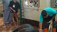 Mesjid Raudhatul Muflihien Sukses laksanakan kegiatan Qurban di Hari Raya Idul Adha 1447 /2026 M