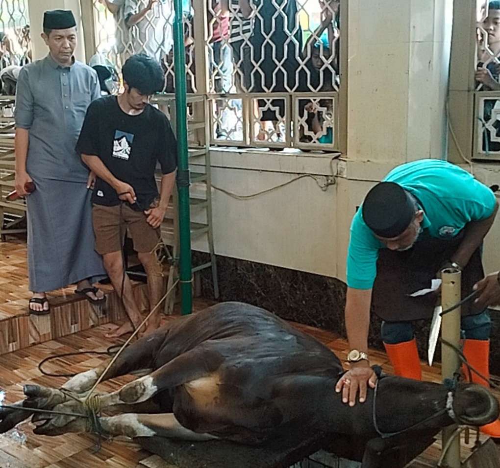 Mesjid Raudhatul Muflihien Sukses laksanakan kegiatan Qurban di Hari Raya Idul Adha 1447 /2026 M Mesjid Raudhatul Muflihien Sukses laksanakan kegiatan Qurban di Hari Raya Idul Adha 1447 /2026 M